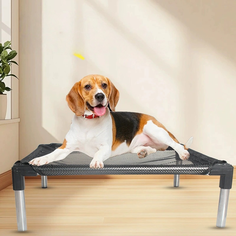 Cooling Elevated Dog Bed - Rai - Outdoor Daybed Sofa recension och pris