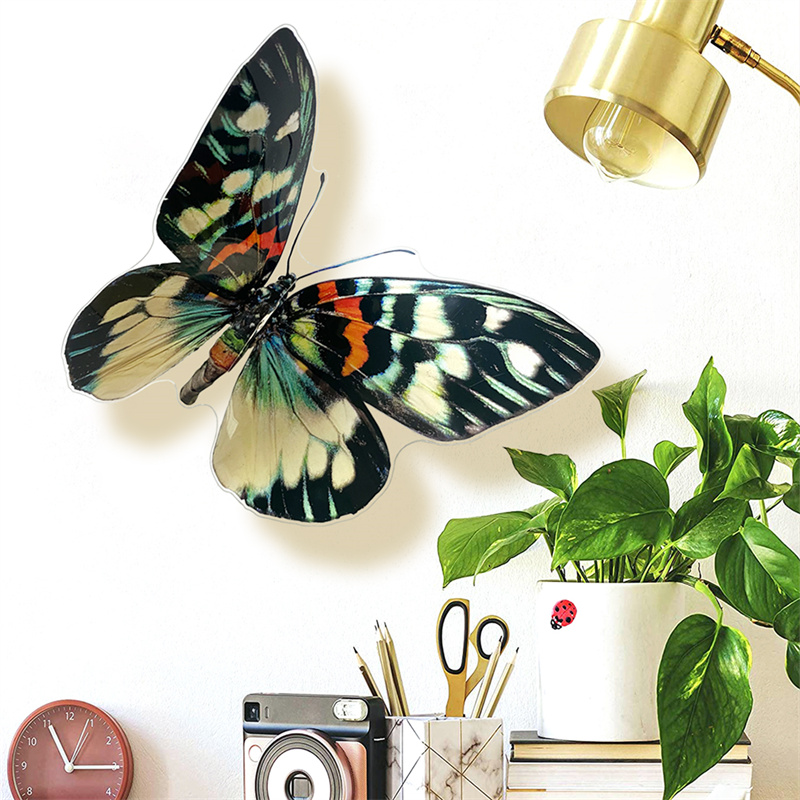 Big 3D Butterfly Summer Outdoo - Outdoor Furniture Arhaus recension och pris